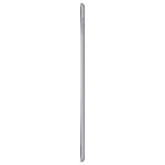 Apple iPad Air 2 Retina Display 16GB Gray