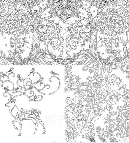 Child/Adult Color Filling Books