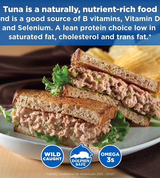 StarKist Lunch To-Go Chunk Light Pouch - Mix Your Own Tuna Salad - (Packaging 4.1 Ounce (Pack of 12)