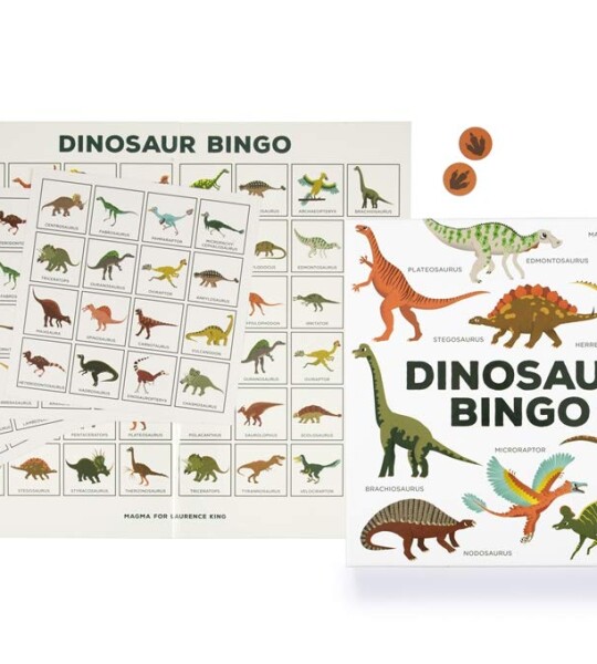 Dinosaur Bingo An easy to play game for children and families