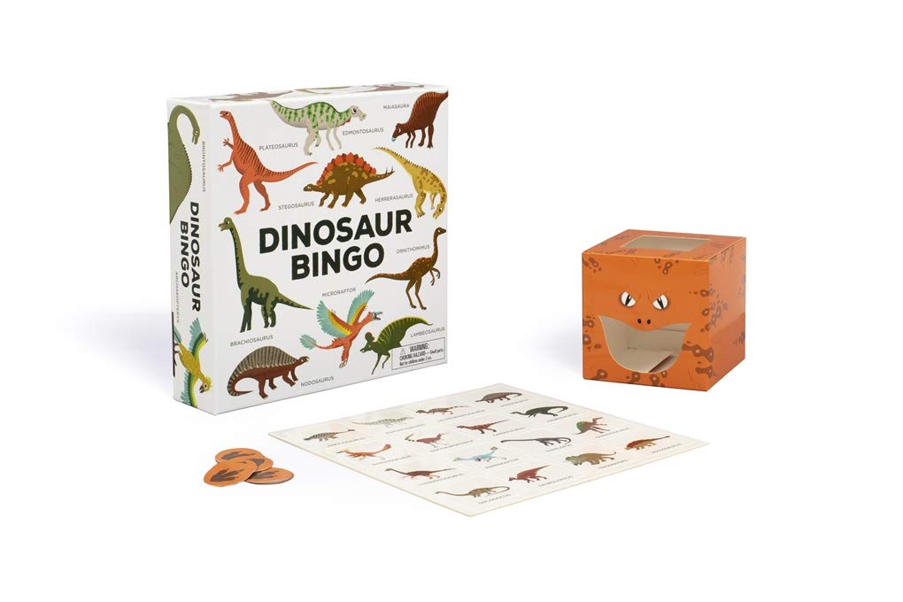 Dinosaur Bingo An easy to play game for children and families