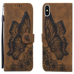 Butterfly Stand Book Cover