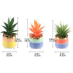 Artificial Succulent Green Red Plants Modern Ceramic Pots for Home Decoration