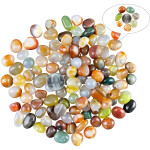 Natural Polished Decorative Gravel Stones Suitable for Home Decoration