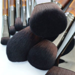 Make up Brushes Set